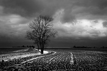 Noordpolder 4 in zwart wit van Bo Scheeringa Photography
