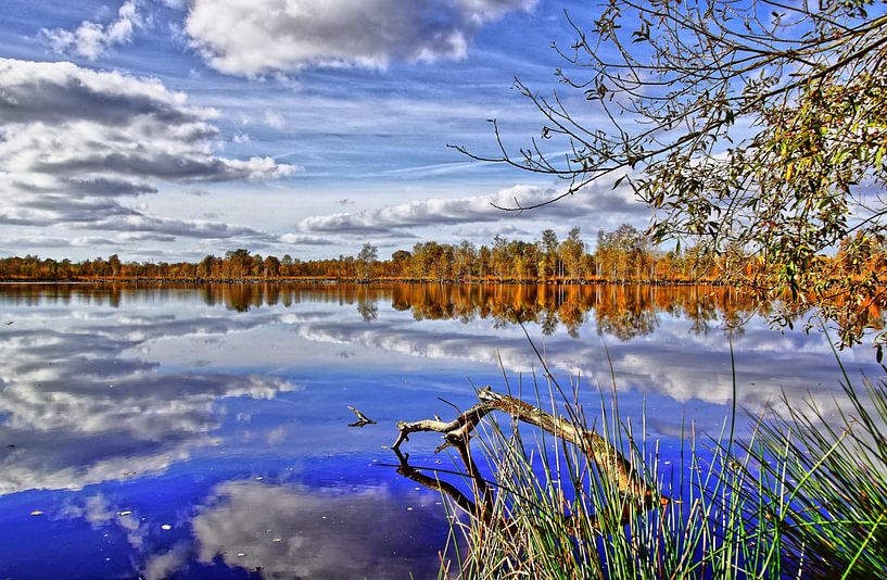 Herbst am See van Martina Fornal