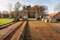 Restanten van een oude boerderij in buurtschap Miste nabij Winterswijk van Tonko Oosterink thumbnail