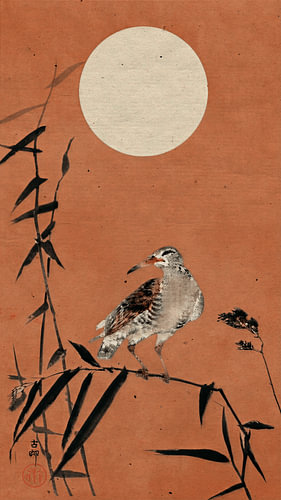 Traditional Japanese print of a bird (Black Horseman) on terracotta-coloured bamboo