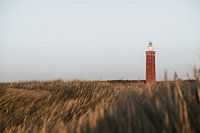 Winterliche Strandspaziergänge #2