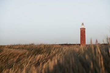 Winter beach walks #2