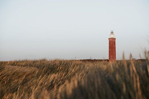 Winter beach walks #2