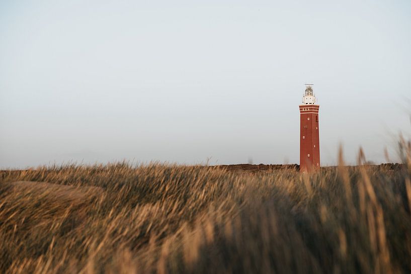 Winter beach walks #2 by Elise van Gils