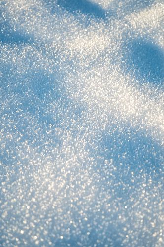 Sneeuwkristallen met de eerste zonneschijn