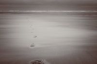 Der einsame Wanderer (s/w)