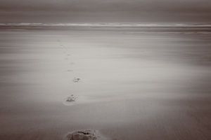 Le promeneur solitaire (n/b)
