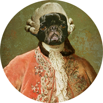 Sir Pug van Lucia