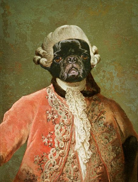 Sir Pug van Lucia