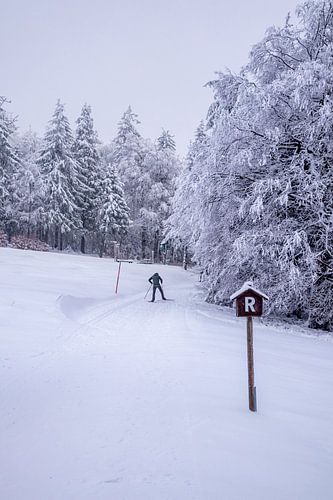 Langlaufen in het besneeuwde Thüringer Woud bij Floh-Seligenthal - Thüringen - Duitsland