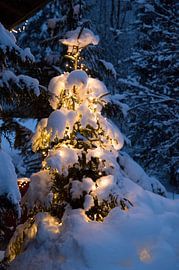 Snow-covered Christmas tree with fairy lights by SusaZoom