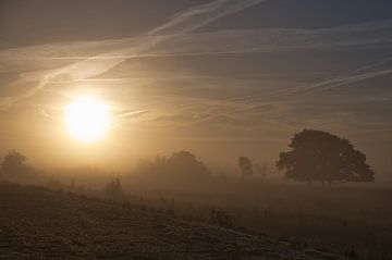 De zon prikt door de ochtendmist van Miny'S