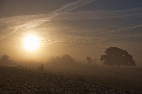 Le soleil perce la brume du matin