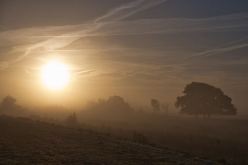 The sun pokes through the morning mist by Miny'S