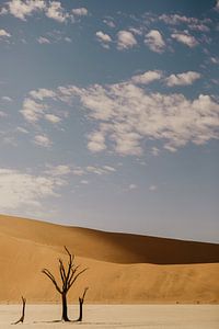 Licht en schaduw in de Dodevlei van Namibië van Leen Van de Sande