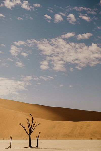 Light and shade in Namibia's Dodevlei by Leen Van de Sande