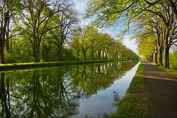 Kanal Rhone au Rhin von Tanja Voigt