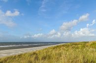 Strand auf der Insel Vlieland Wadden in der niederländischen Wattenmeerregion von Sjoerd van der Wal Fotografie Miniaturansicht