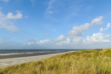 Strand auf der Insel Vlieland Wadden in der niederländischen Wattenmeerregion von Sjoerd van der Wal