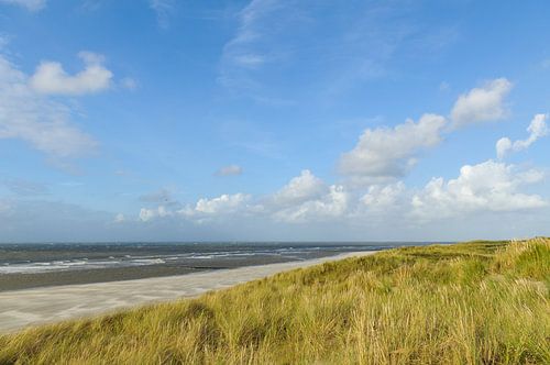 Strand van het Waddeneiland Vlieland