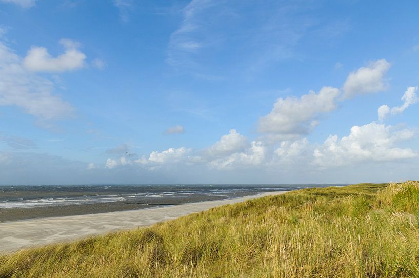 Strand auf der Insel Vlieland Wadden in der niederländischen Wattenmeerregion von Sjoerd van der Wal Fotografie