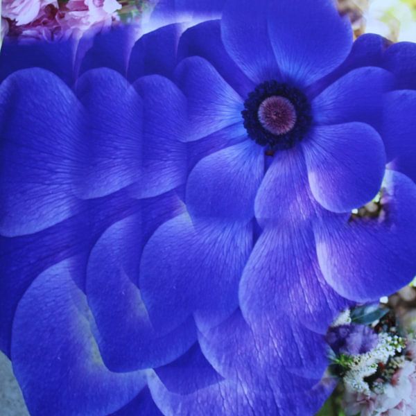 Blue Flower by Margit Färber