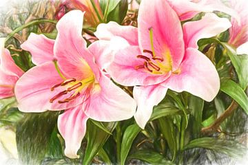 colored lilies by eric van der eijk