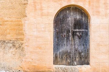 Vieux fond de porte d'entrée en bois sur Alex Winter