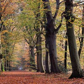 Herfsttafereel von Robert Wagter