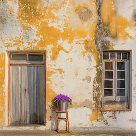 The Beauty of Decay.2