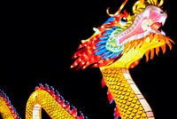Chinese draak bij China Light in Utrecht