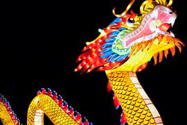 Chinese draak bij China Light in Utrecht by David Klumperman