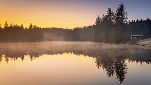 Zonsopgang aan de Ziegenberger vijver