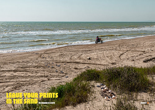 Laissez vos empreintes dans le sable