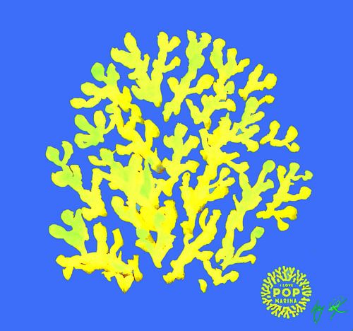 I LOVE POP MARINA - Corallo gialloverde su blu / Corail