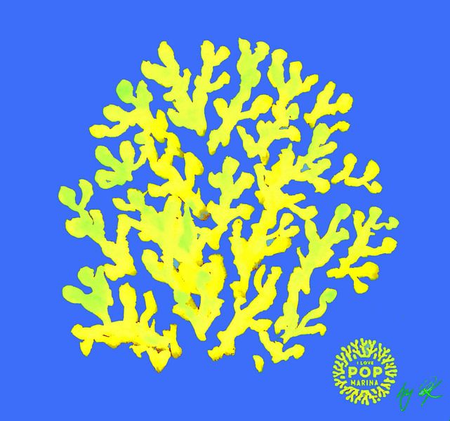 I LOVE POP MARINA - Corallo gialloverde su blu / Koralle von Petra Kaindel
