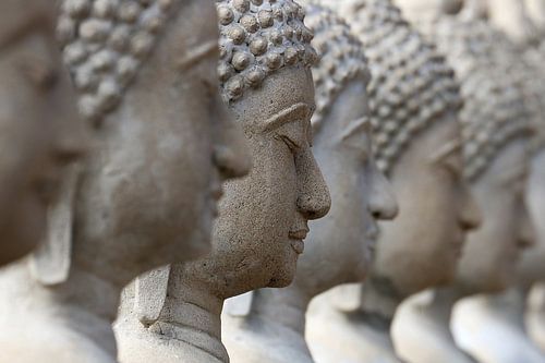 Boeddha van Antwan Janssen