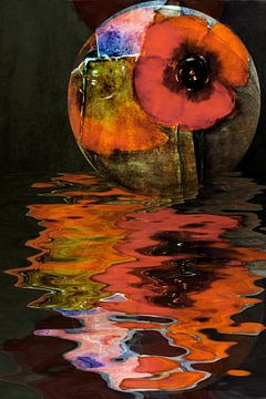 Rode Papavers - Water Poppy