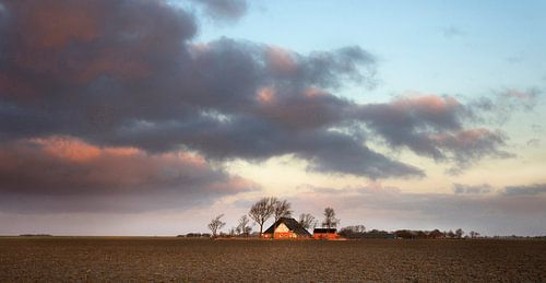 Soirée dans le Noordpolder de Groningen