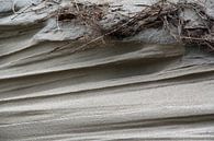 Wind erosion dunes by Erick van Bommel thumbnail