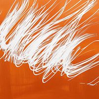 Wings of Fire