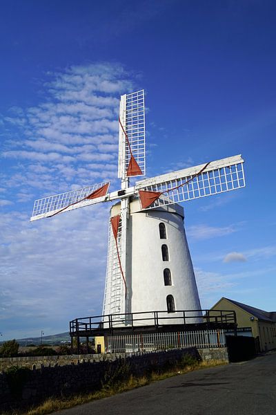 De Blennerville Windmolen van Babetts Bildergalerie