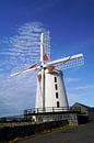 De Blennerville Windmolen van Babetts Bildergalerie thumbnail