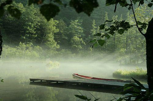 early morning mist Japan 1