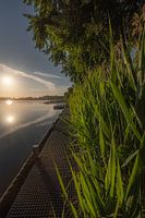 Sun star at the lake