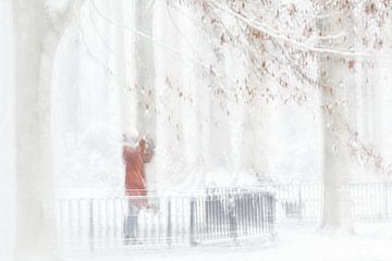 Winter fotografie van Ingrid Van Damme fotografie