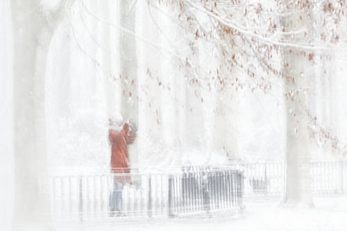 Winter photography