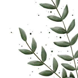 Eucalyptus large with fine leaves by Anke la Faille