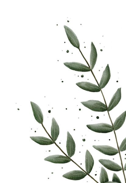 Eucalyptus groot met fijn blad van Anke la Faille