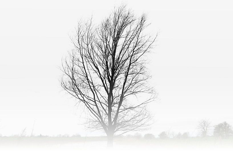 The tree by Maren Oude Essink